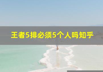 王者5排必须5个人吗知乎