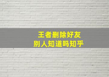 王者删除好友别人知道吗知乎