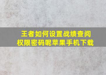 王者如何设置战绩查阅权限密码呢苹果手机下载