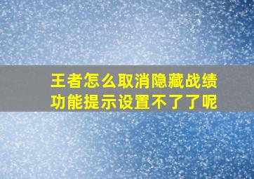 王者怎么取消隐藏战绩功能提示设置不了了呢