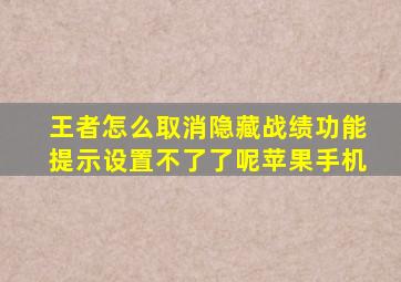 王者怎么取消隐藏战绩功能提示设置不了了呢苹果手机