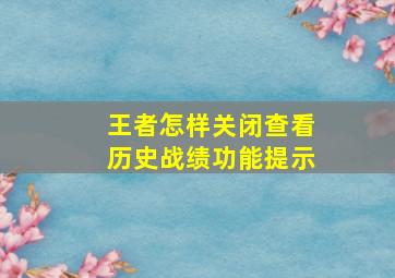 王者怎样关闭查看历史战绩功能提示