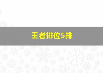 王者排位5排