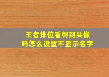 王者排位看得到头像吗怎么设置不显示名字