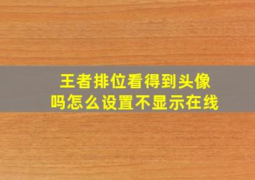 王者排位看得到头像吗怎么设置不显示在线