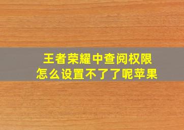 王者荣耀中查阅权限怎么设置不了了呢苹果