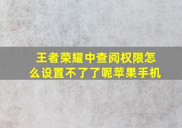 王者荣耀中查阅权限怎么设置不了了呢苹果手机