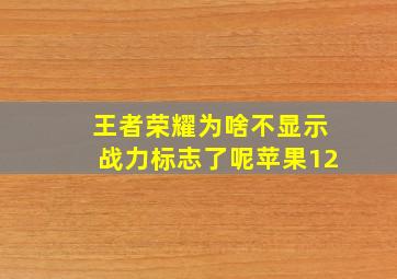 王者荣耀为啥不显示战力标志了呢苹果12