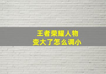 王者荣耀人物变大了怎么调小