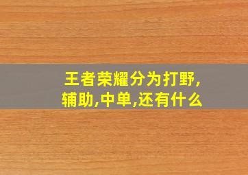 王者荣耀分为打野,辅助,中单,还有什么