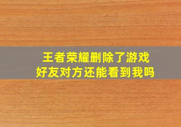 王者荣耀删除了游戏好友对方还能看到我吗