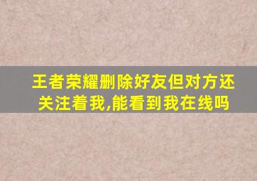 王者荣耀删除好友但对方还关注着我,能看到我在线吗