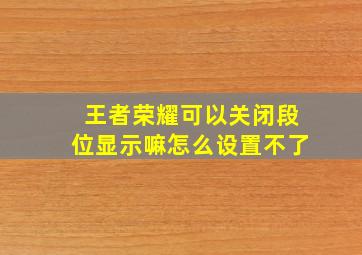 王者荣耀可以关闭段位显示嘛怎么设置不了