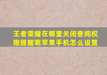 王者荣耀在哪里关闭查阅权限提醒呢苹果手机怎么设置