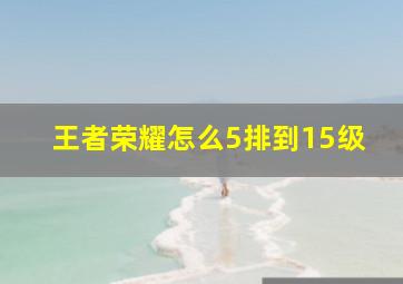 王者荣耀怎么5排到15级