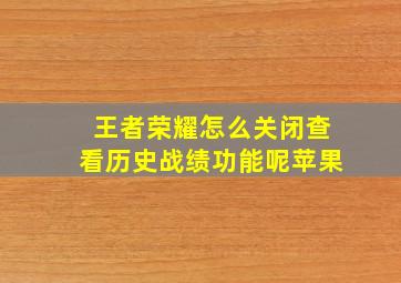 王者荣耀怎么关闭查看历史战绩功能呢苹果