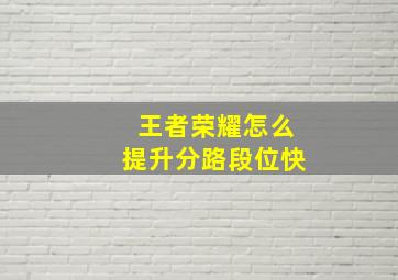 王者荣耀怎么提升分路段位快