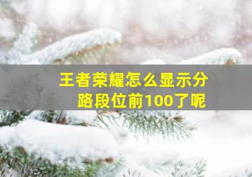 王者荣耀怎么显示分路段位前100了呢