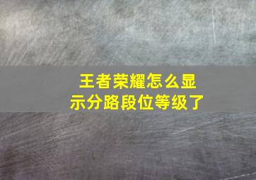 王者荣耀怎么显示分路段位等级了