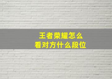 王者荣耀怎么看对方什么段位