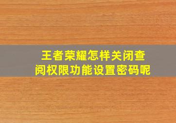 王者荣耀怎样关闭查阅权限功能设置密码呢