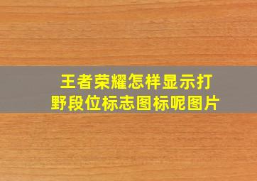 王者荣耀怎样显示打野段位标志图标呢图片