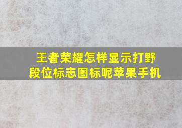 王者荣耀怎样显示打野段位标志图标呢苹果手机