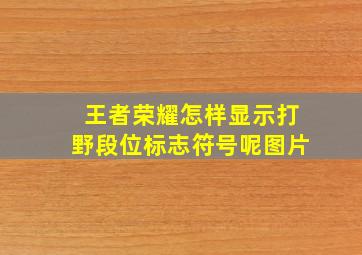 王者荣耀怎样显示打野段位标志符号呢图片