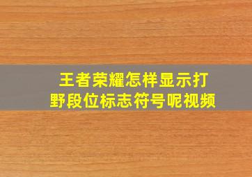 王者荣耀怎样显示打野段位标志符号呢视频