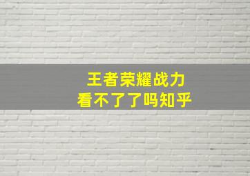 王者荣耀战力看不了了吗知乎