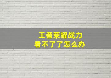 王者荣耀战力看不了了怎么办