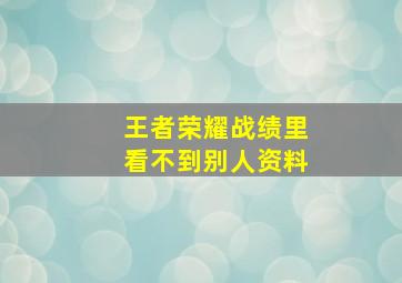 王者荣耀战绩里看不到别人资料