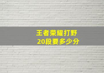 王者荣耀打野20段要多少分