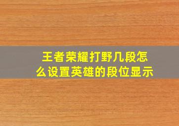 王者荣耀打野几段怎么设置英雄的段位显示