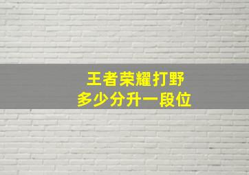 王者荣耀打野多少分升一段位