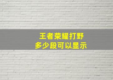 王者荣耀打野多少段可以显示