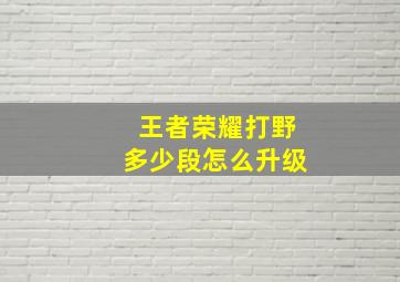 王者荣耀打野多少段怎么升级