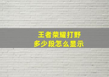 王者荣耀打野多少段怎么显示