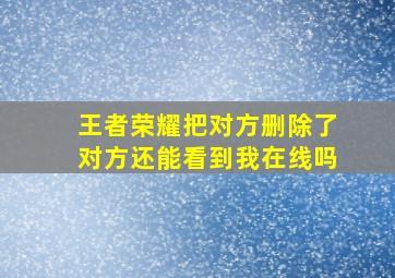 王者荣耀把对方删除了对方还能看到我在线吗