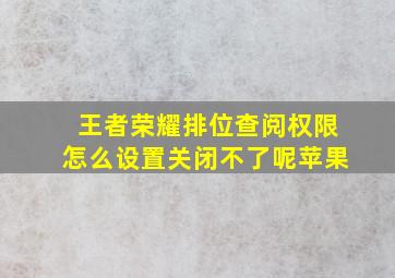 王者荣耀排位查阅权限怎么设置关闭不了呢苹果