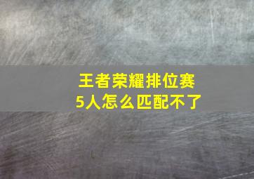 王者荣耀排位赛5人怎么匹配不了