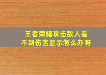 王者荣耀攻击敌人看不到伤害显示怎么办呀