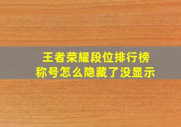 王者荣耀段位排行榜称号怎么隐藏了没显示