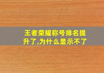 王者荣耀称号排名提升了,为什么显示不了