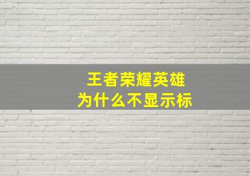 王者荣耀英雄为什么不显示标