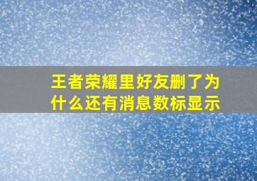 王者荣耀里好友删了为什么还有消息数标显示