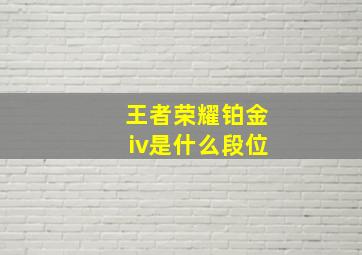 王者荣耀铂金iv是什么段位