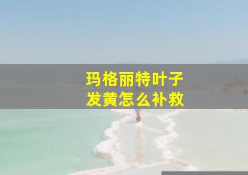 玛格丽特叶子发黄怎么补救