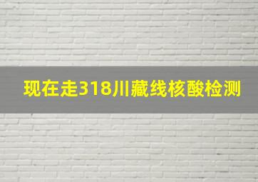 现在走318川藏线核酸检测