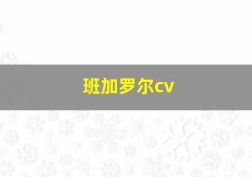 班加罗尔cv